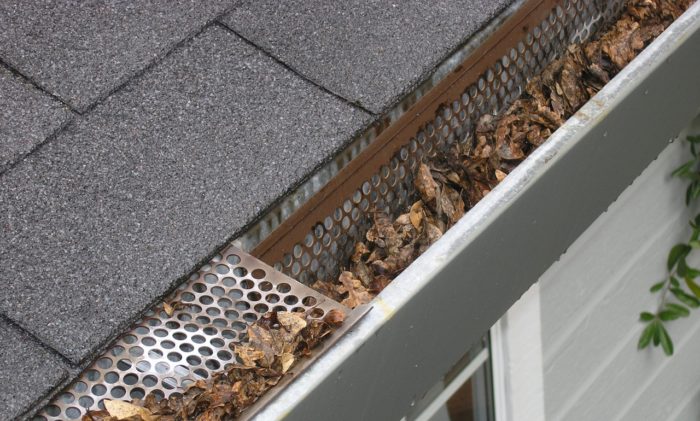 Dachrinne reinigen leicht gemacht – Tipps vom Profi